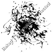 ES2splat022bw